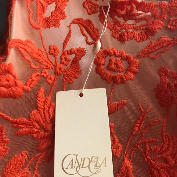 New Candella Orange Top sheer lace Tangerine, Sexy, club, party, cute, bright - Picture 4 of 12